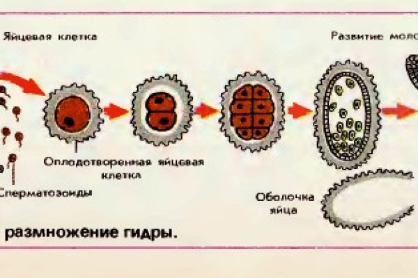 Как посчитать комиссию перевода на блэкспрут