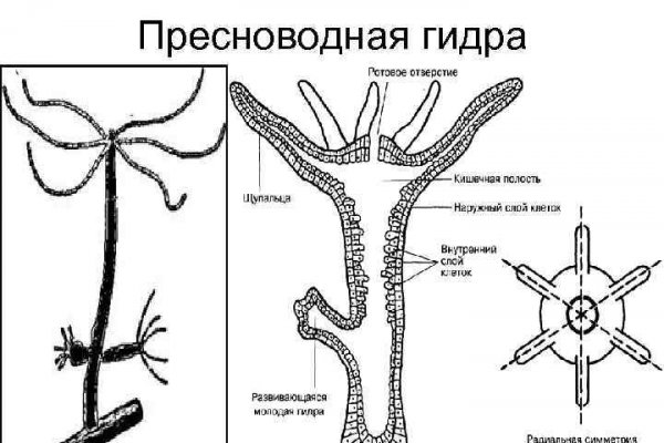 Мега магазин наркотиков