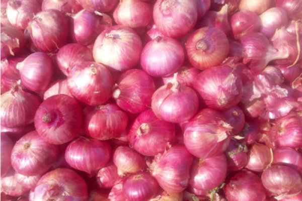 Кракен krakenruzxpnew4af onion